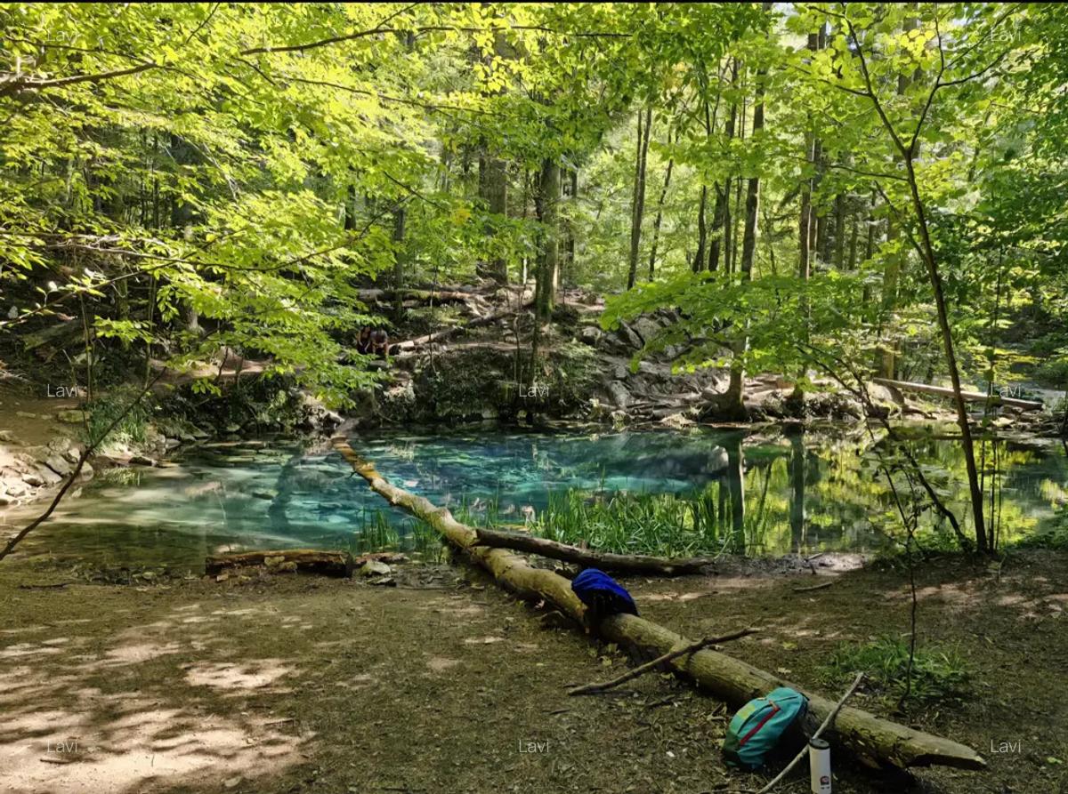 Casa tradi?ionala din piatra de vanzare, zona Cheile Nerei - 7