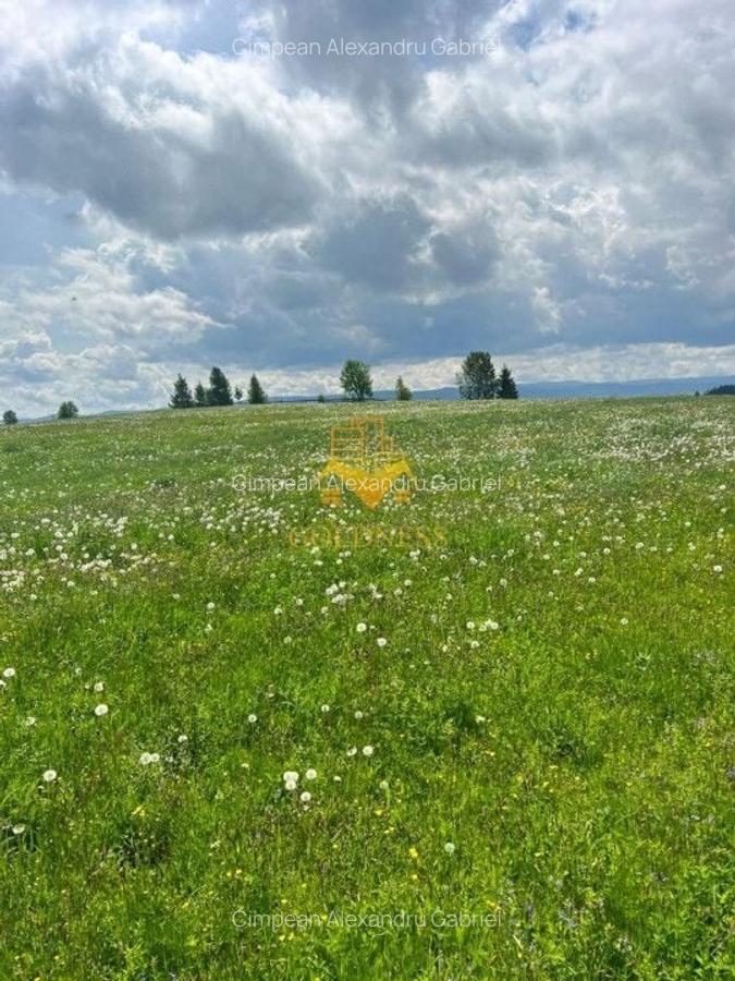 Teren Construcții intravilan de 10000 mp, în Mărișel - 4