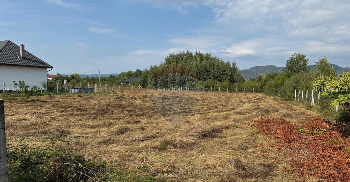 De vanzare Teren intravilan in Busag, ideal pentru casa... - 13