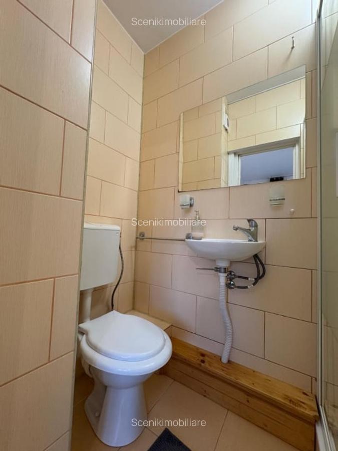 Astra, zona str. Paraului, de inchiriat apartament cu 3 camere - 18