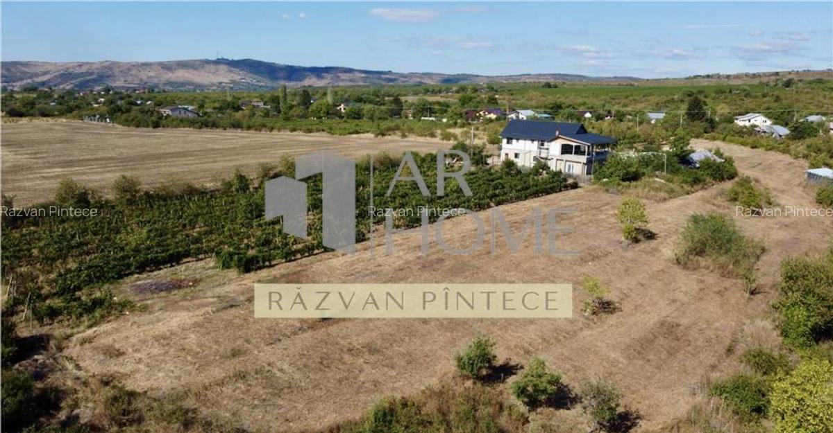 Pensiune 6 camere, teren 12713 mp, Dealul Mare, Urlati, Prah - 1