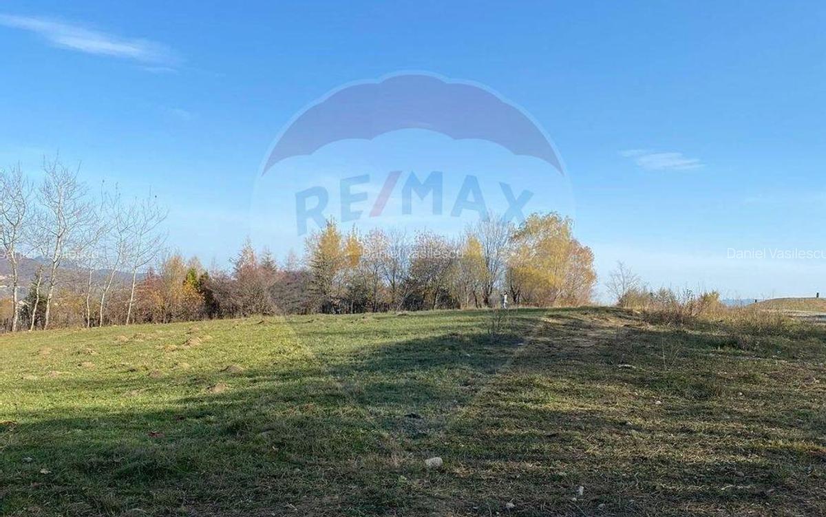 Teren Zarnesti- Tohanita, 4312 mp, deschidere generoasa d... - 2