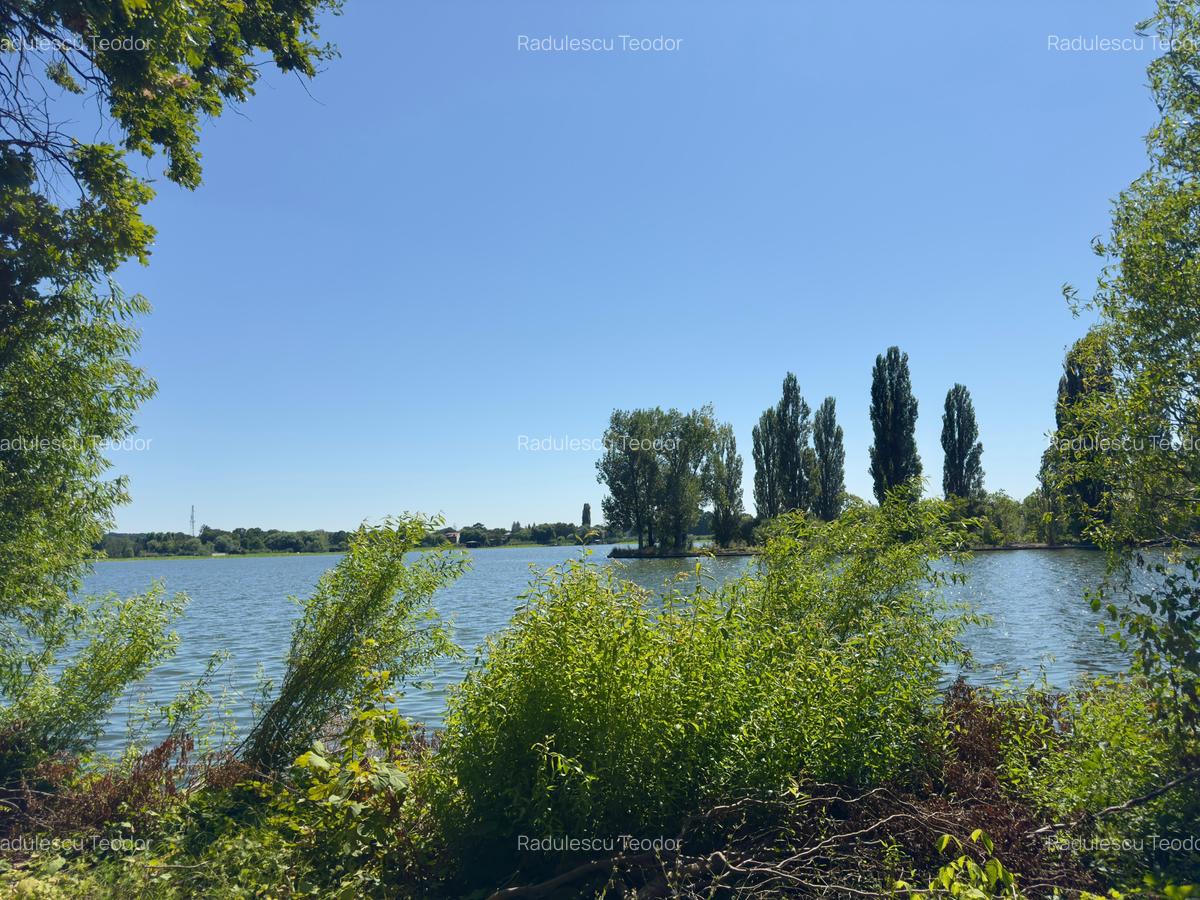 Teren 4800mp | Padurea Snagov | Deschidere larga la Lacul Snagov | Investitie - 5