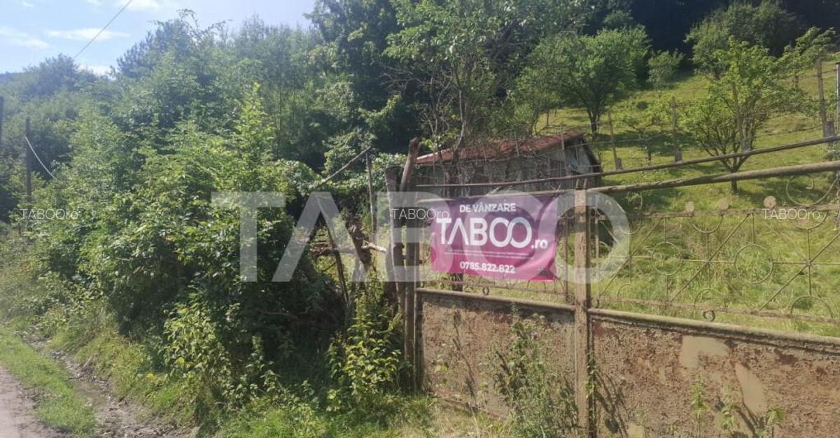 Teren 2500 mp la drum pe Valea Stezii Curmatura Rasinari - 8