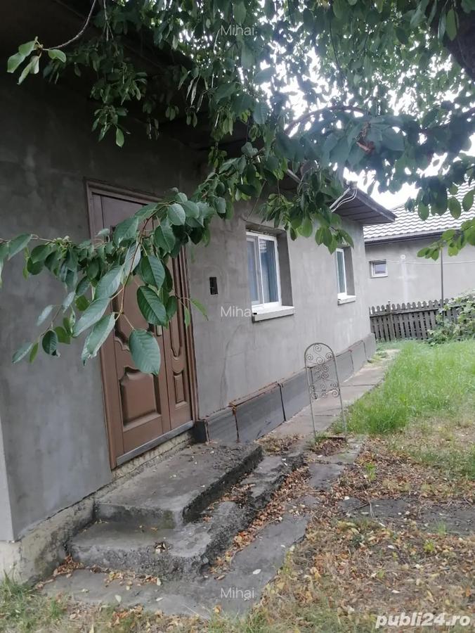 Casa de vanzare + teren 4700 m2 - 3