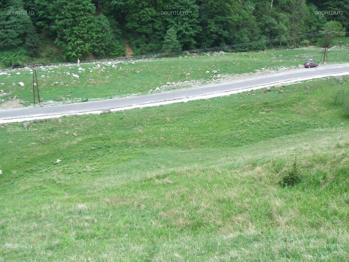 Raul Mare Retezat, spre statiunea de schi Rausor, Judetul Hunedoara - 4 Raul Mare Retezat, spre statiunea de schi Rausor, Judetul Hunedoara - 4