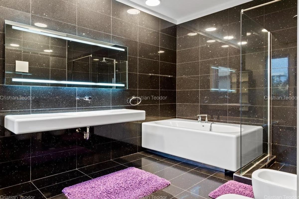 LUXURY VILA IANCU NICOLAE - 15