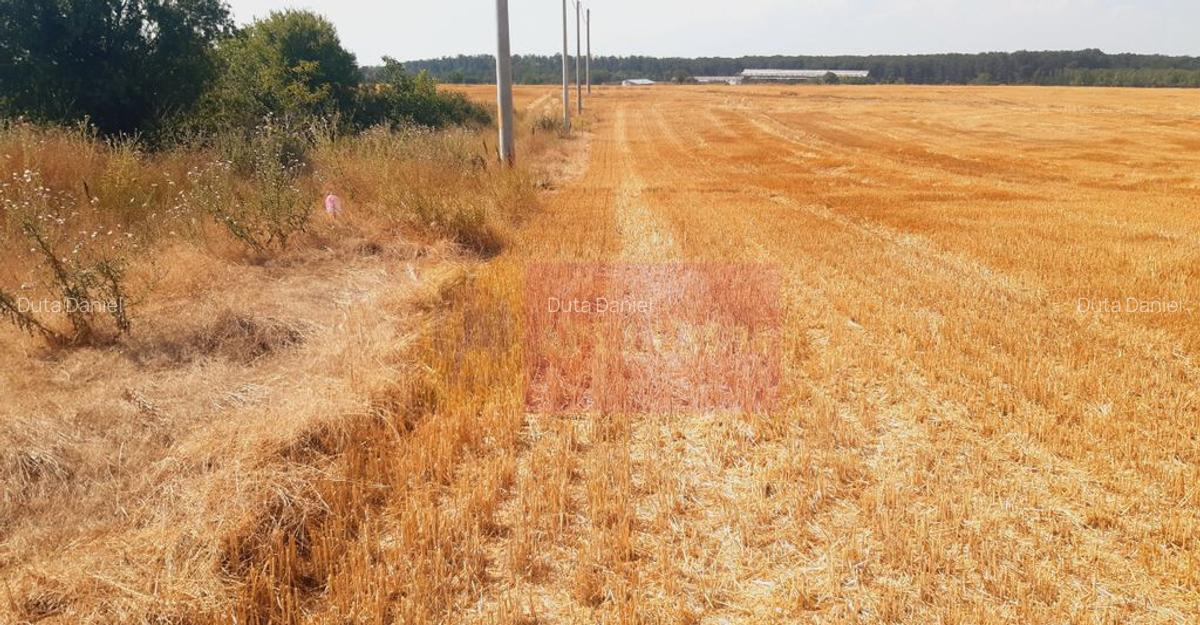 Teren pentru casa/case in Brane?ti pe strada Topora?i - 7