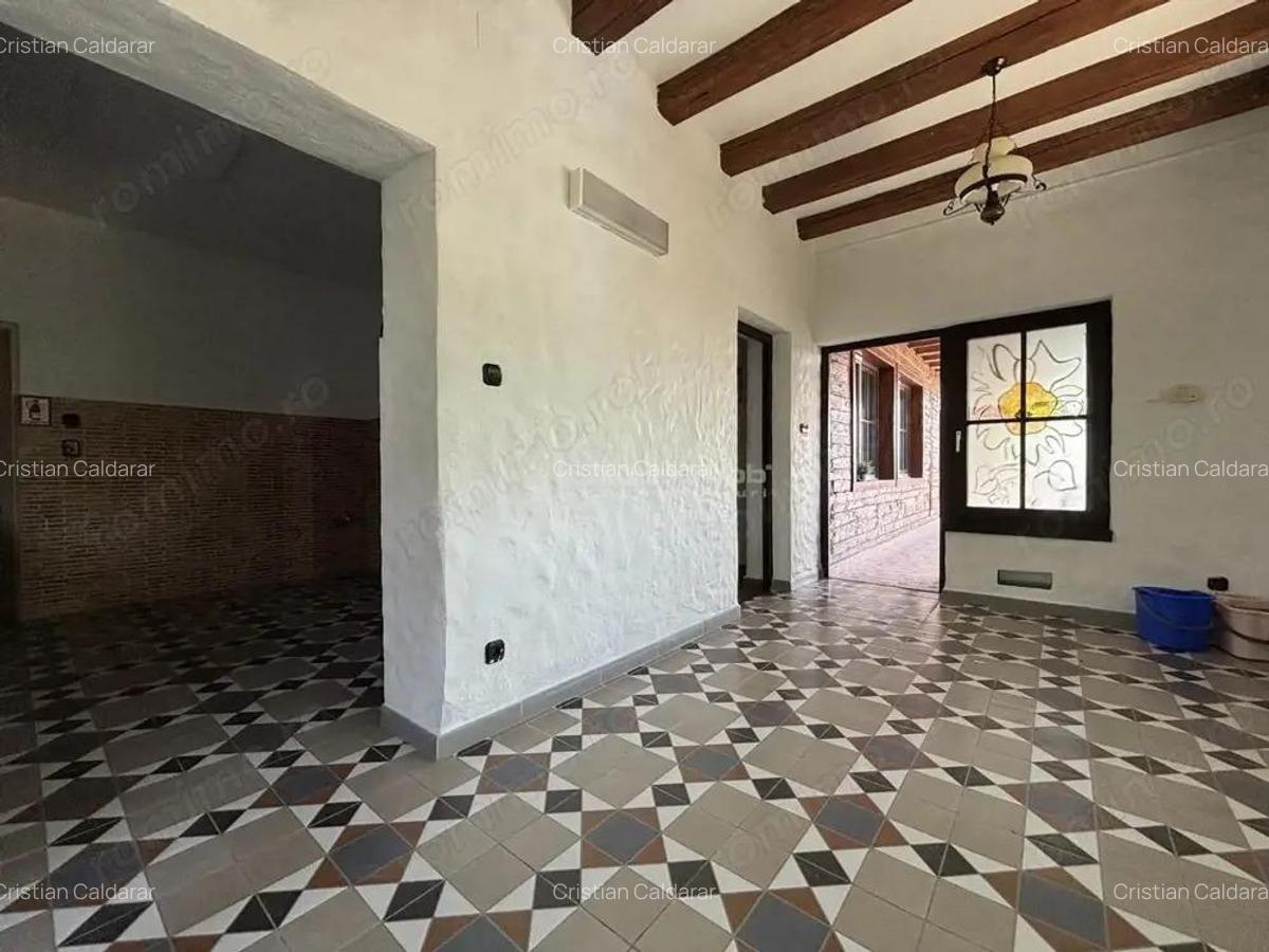 Proprietate de patrimoniu pe malul lacului Paleu - Teren 2.300 mp - piscina - Coliba lui Horea cas - 18