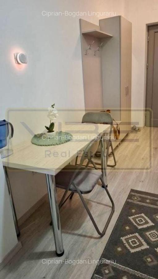 Apartament 1 camera Newton Park Copou - 9