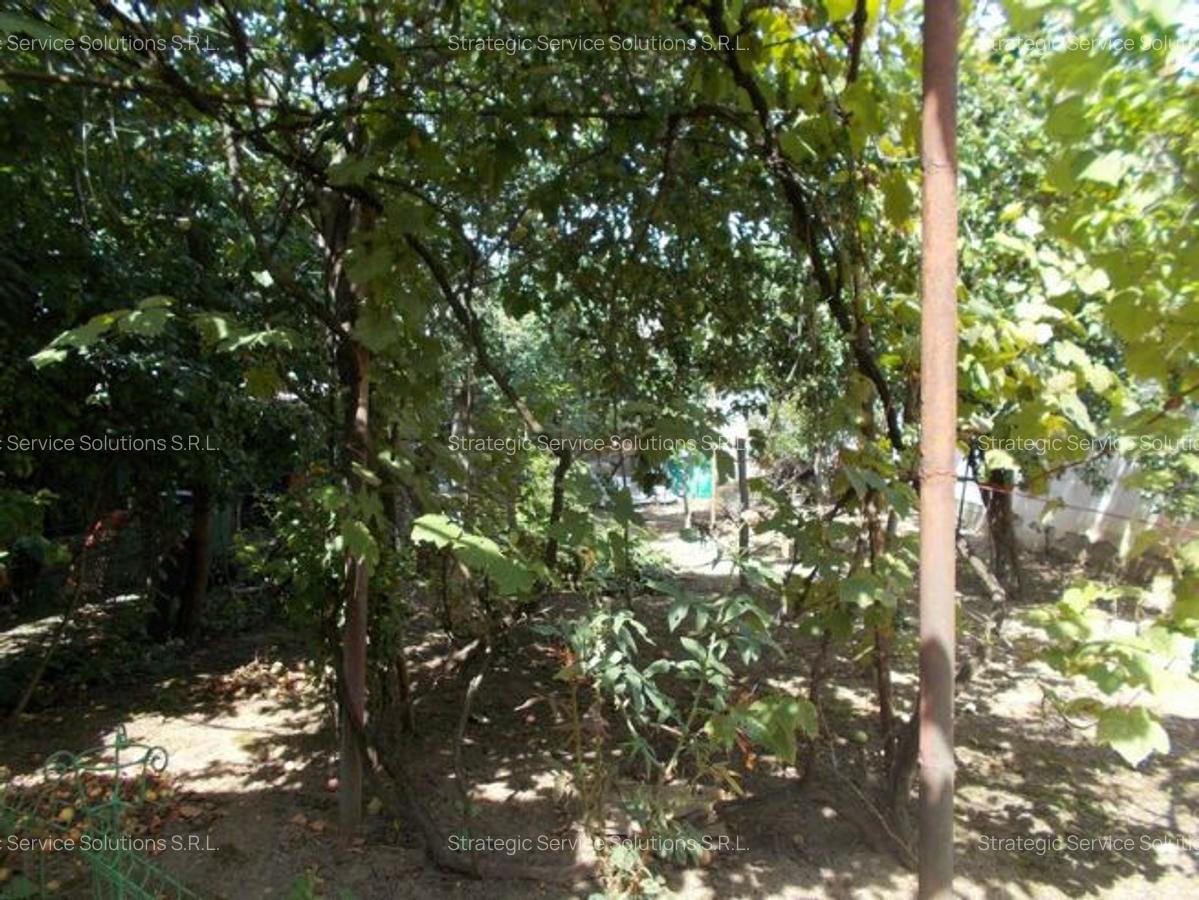 Casa veche, Timisoara, Modern, 3 cam, teren 427mp, utilitati - 5