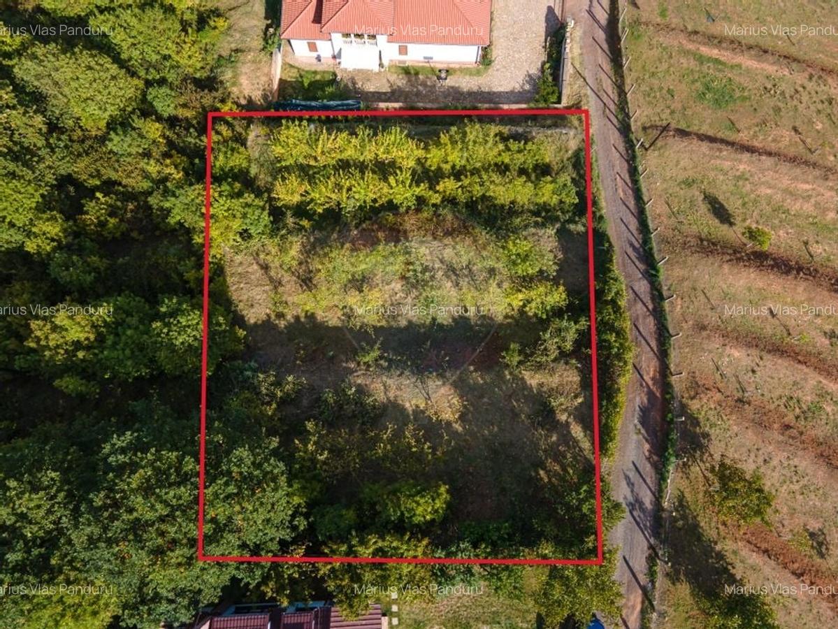 Teren de vanzare exclusivist in Alba Iulia COMISION 0% - 8
