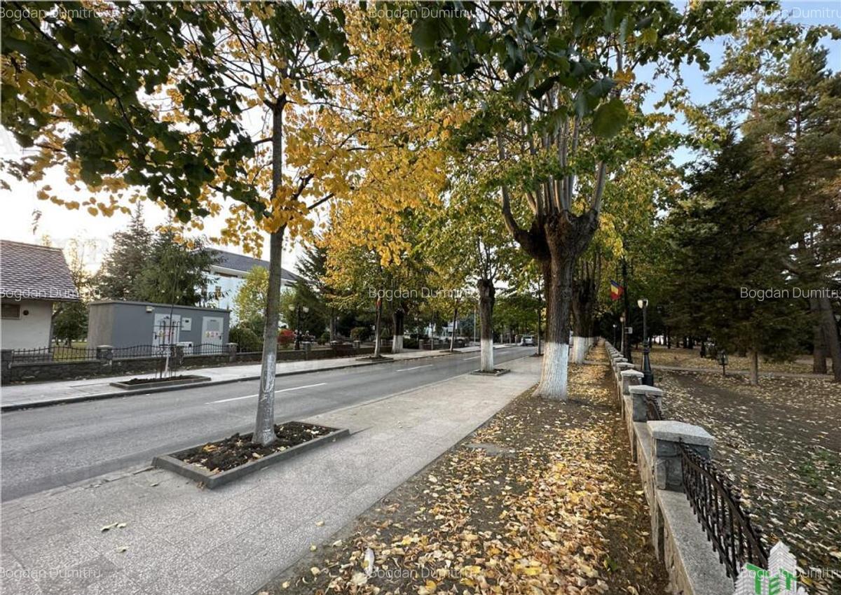 Vila cocheta de 5 camere cu 436 mp teren si toate utilitat - 18