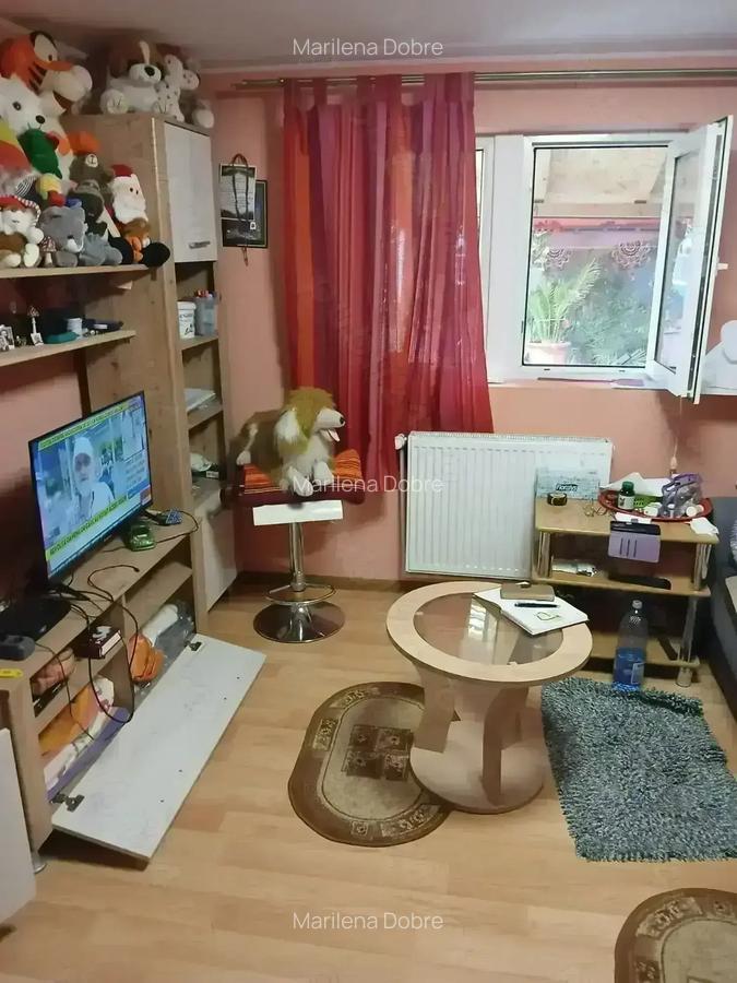 Casa deosebita de vanzare - 9