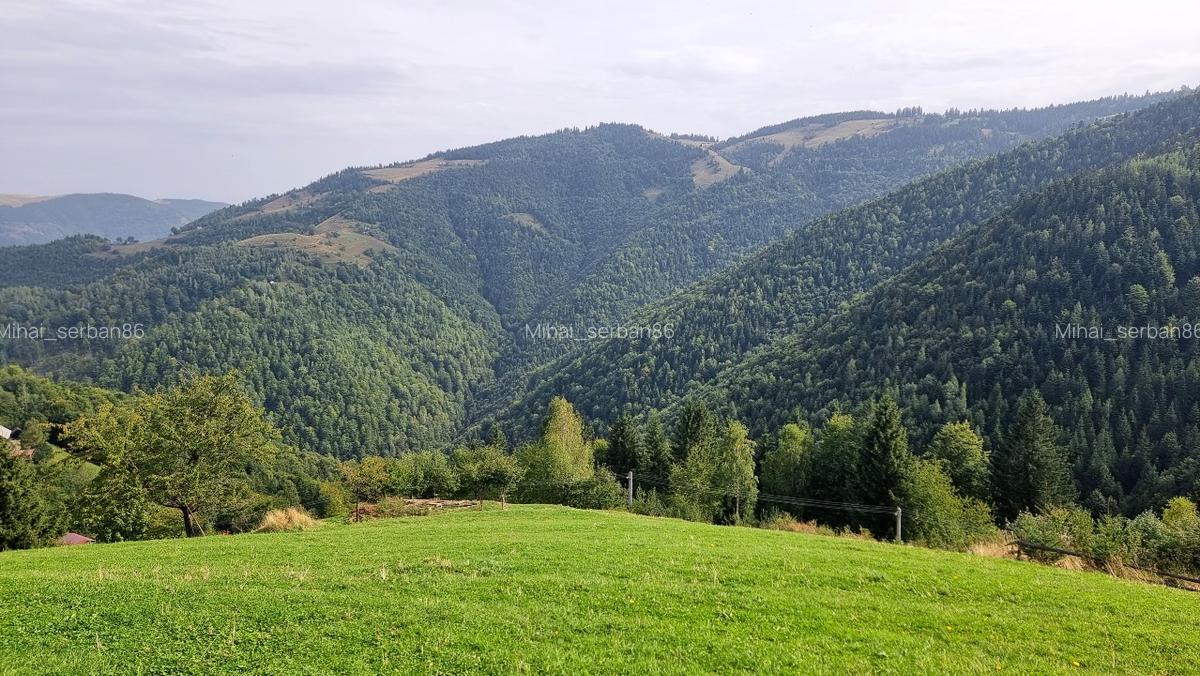 Vand teren la munte pentru cabana - 6