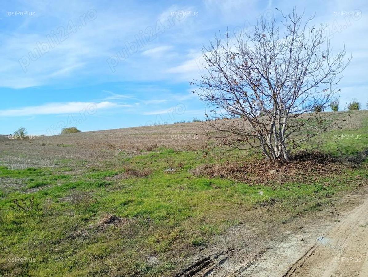 Oportunitate unica teren de 2.050 mp langa lac ?i padure, ideal pentru locuin?a sau investi?ie! - 4