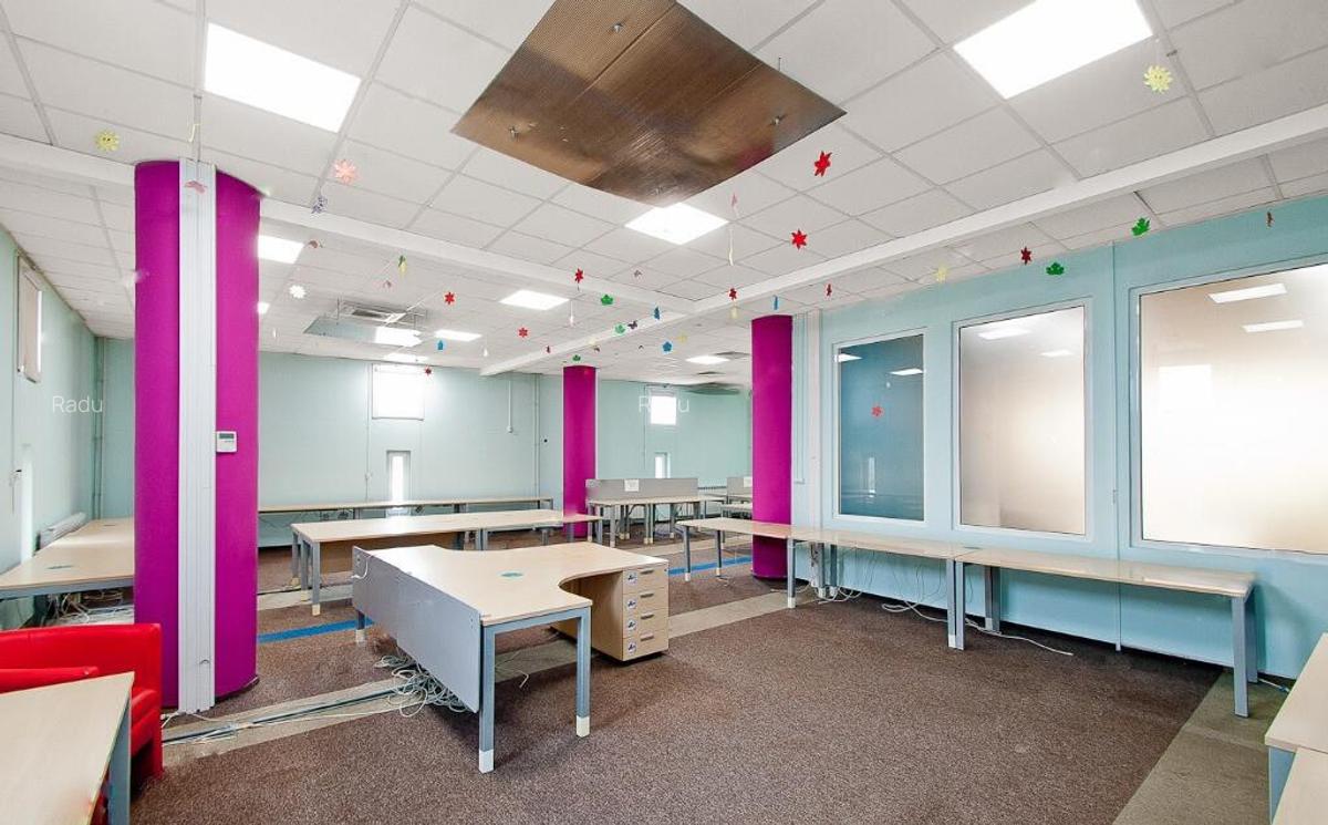 Bulevardul Cosbuc 116-118 - MaxFit - Birouri Premium - 9