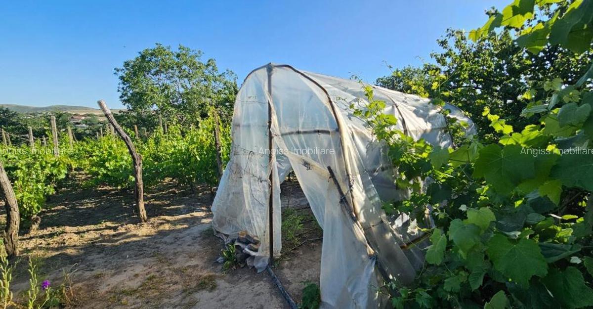 CASA SUPERBA in loc. SOMOVA jud TULCEA - 3 CASA SUPERBA in loc. SOMOVA jud TULCEA - 3