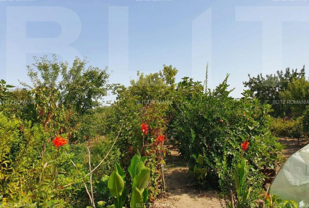 DE VANZARE Casa cu gradina mare in Lugoj - 5