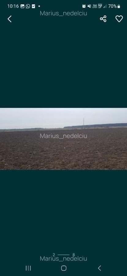 Teren de vânzare Soseaua București Magurele - 8