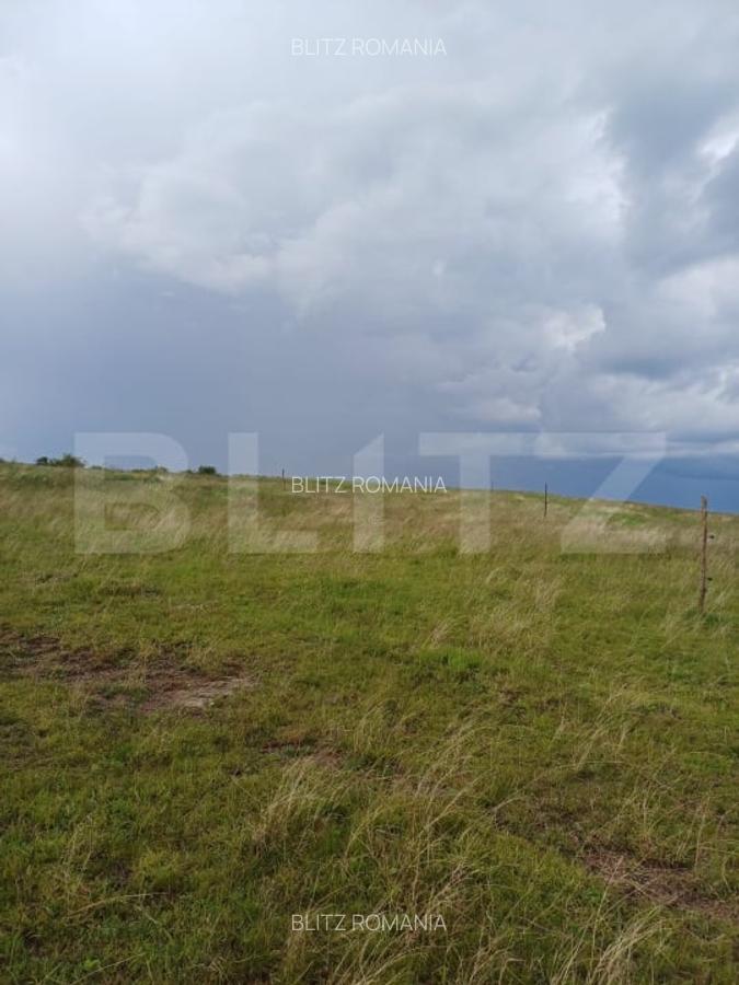 Teren extravilan 1249 mp in Copaceni! Oportunitate investitie! - 3