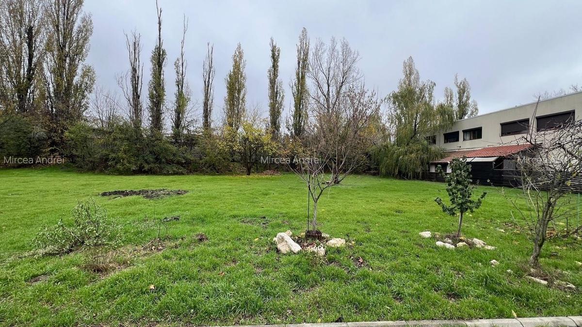 1176 mp | Teren liber | Ideal locuinta | Zona pazita |Pret Promotional - 7