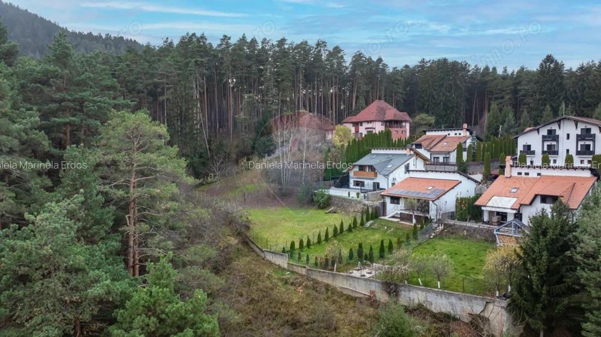 Vila moderna cu vedere spre padure Poiana Angelescu - 6