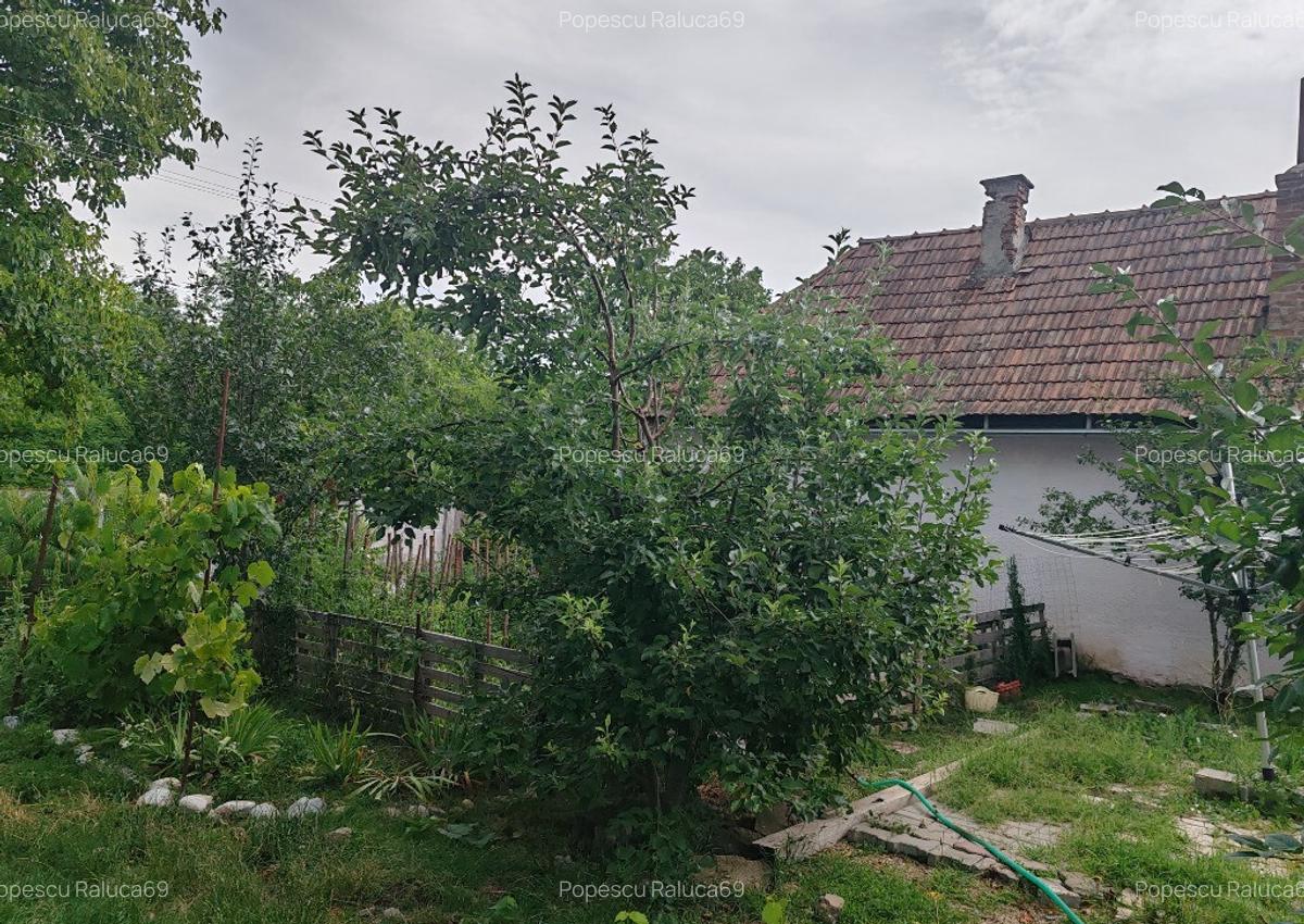 Casa langa padure-liniste, aer curat Vingard, Alba - 8