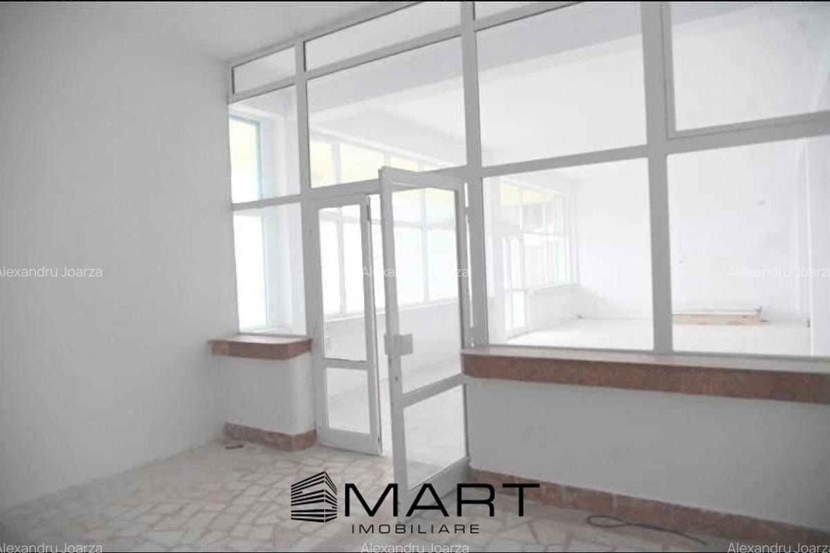 Centru comercial Zona Arsenal Park - 4