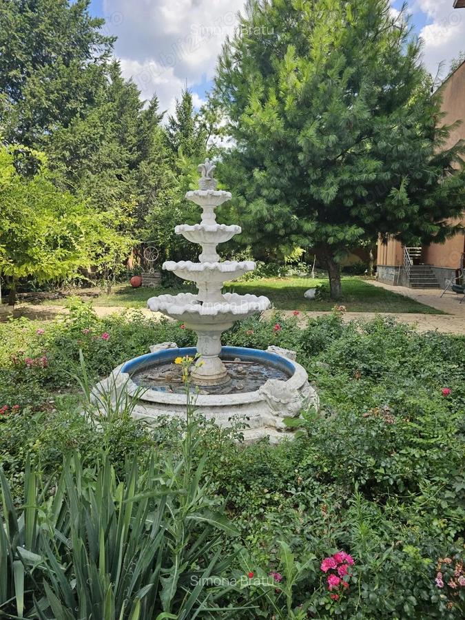 Vand vila in com Pantelimon - 10