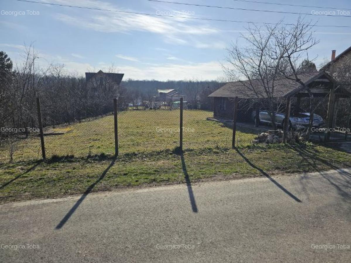 Teren intravilan 1056 mp cu cabană 44 mp, Pasărea – Brănești (Ilfov) - 10