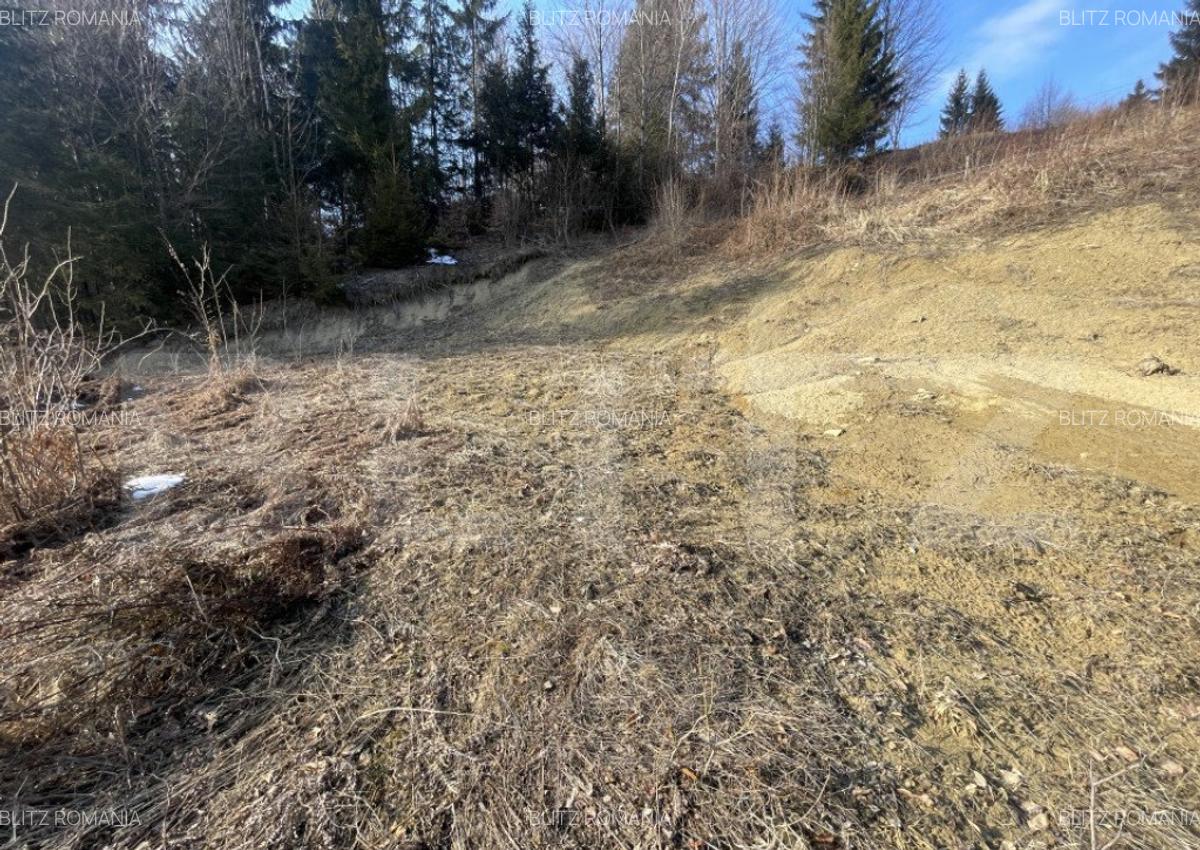 Teren intravilan de vanzare, 15 ari, zona COLIBITA - 3