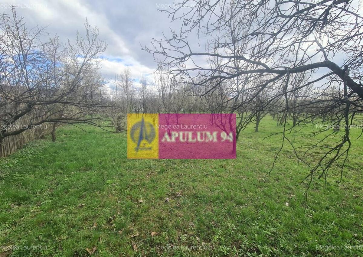 Teren de vanzare in Brebu - Zona Brebu Megiesesc - 12