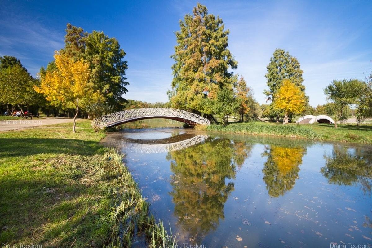 Tineretului Vis a-Vis Parc,Garsoniera Moderna - 10
