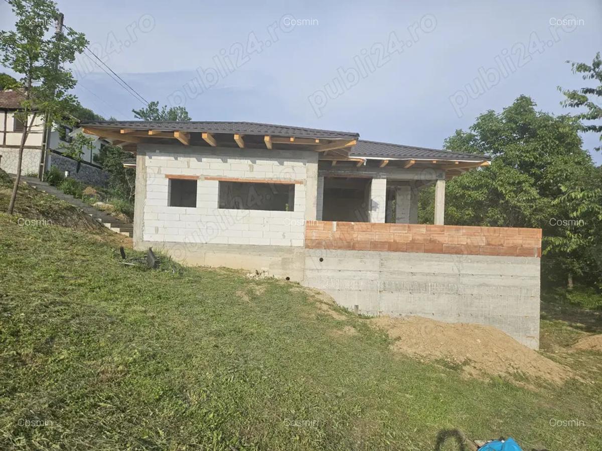 Casa la rosu in cicarlau - 5