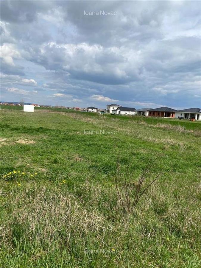 RECO Teren intravilan in  Cihei 500mp - 2