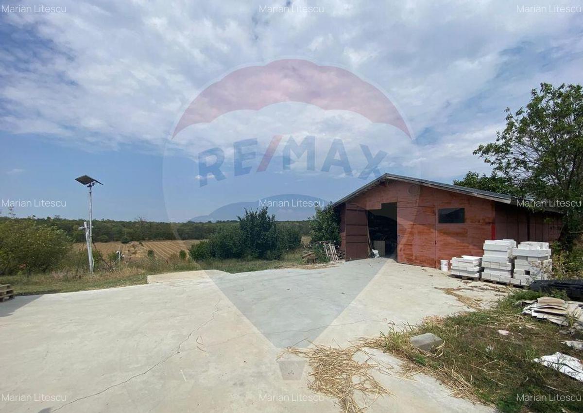 Teren cu hala, Bucsani, Crevedia / DN 61 (A1, A0) 40 Km ... - 5