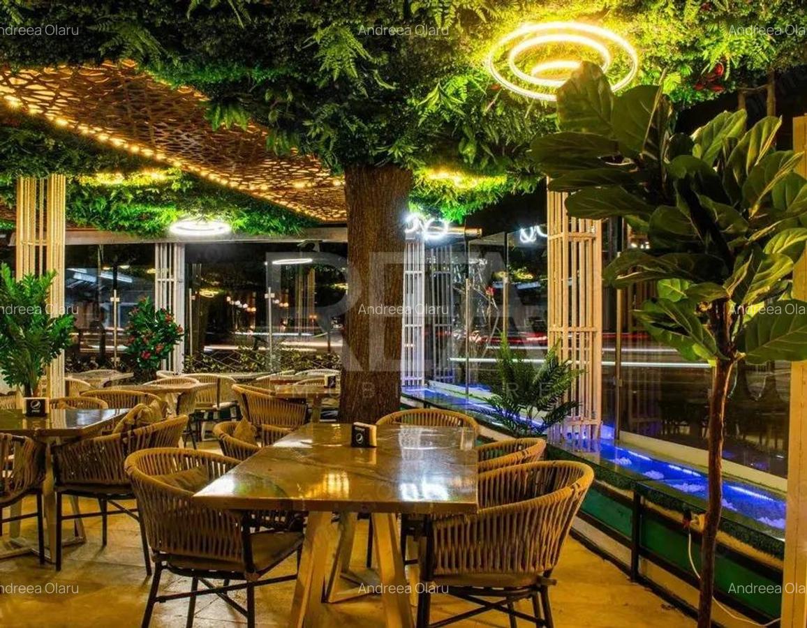 Vanzare Afacere La Cheie - Arcul de Triumf - 2