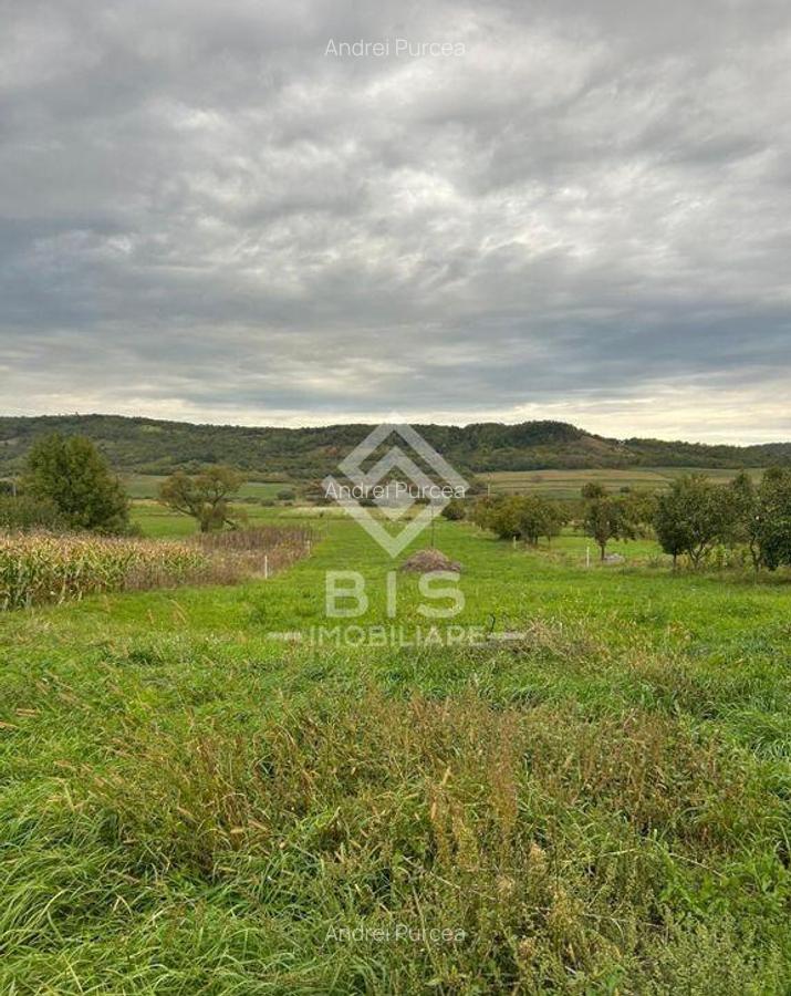 Casa de vanzare in localitatea Sintereag - 11