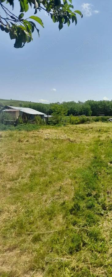 Persoana Fizica vand Teren Cluj - Borsa Catun - Intravilan 2300 mp - Extras CF - Cabana - Foisor - 5