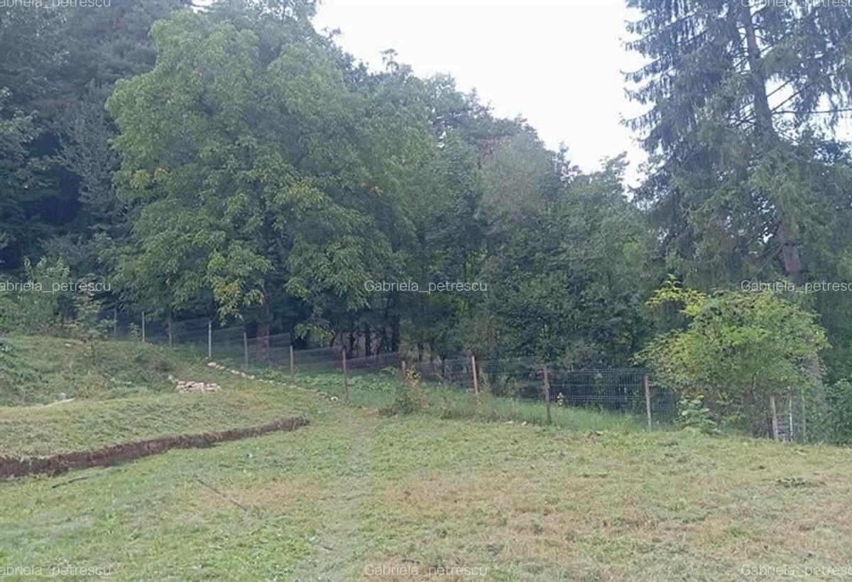 Casa rustica cu semineu,1.100mp teren, priveliste,padure:refugiu autentic in nat - 3