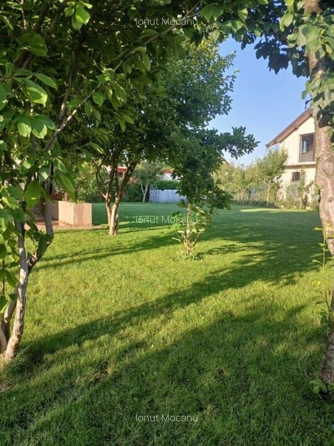 De vanzare casa P+1 cu teren 1000 mp  Comuna Berceni - 32