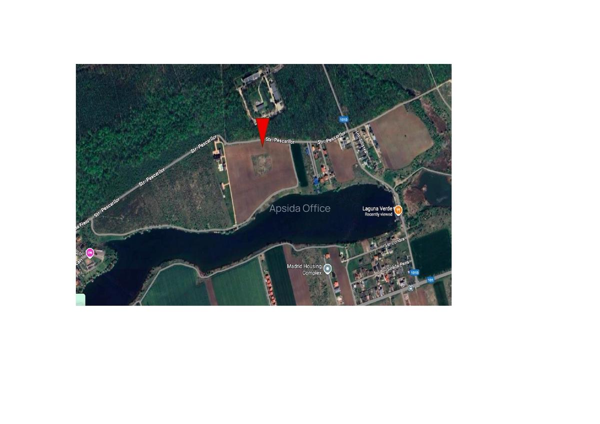 Teren de vânzare cu acces direct la lac, între pădure și apă – Moara Vlăsiei - 5