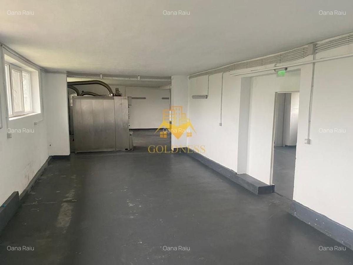 Hală industrială cu vad la principală, 300 mp, Aeroport, Someșeni - 2