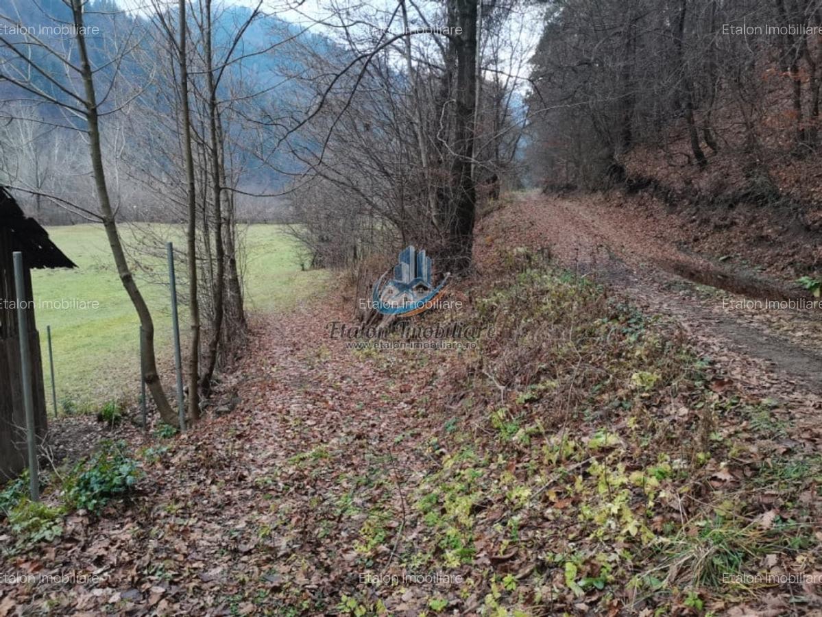 Teren Straja - Pangarati 3560 m, zona de Pensiune - 7