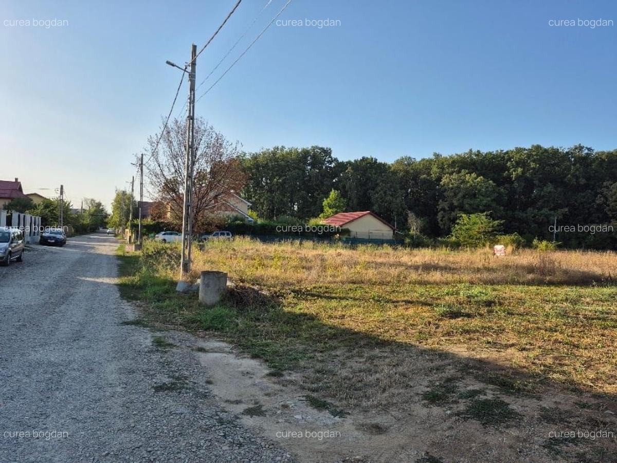 Romatsa, Petresti ,Corbeanca, Liliacului 24, padure, canalizare, proprietar - 3