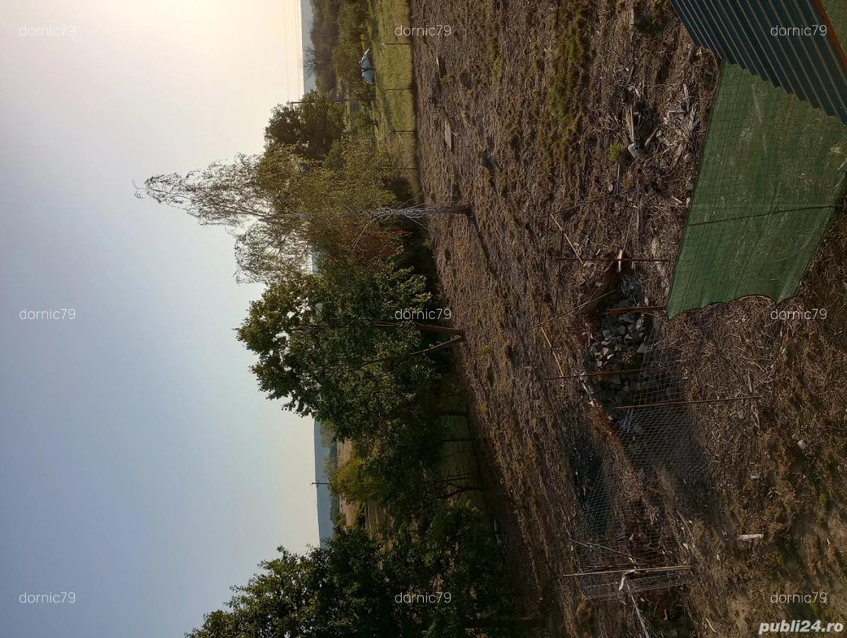 Teren Bascov Dealul Glambocului - 6