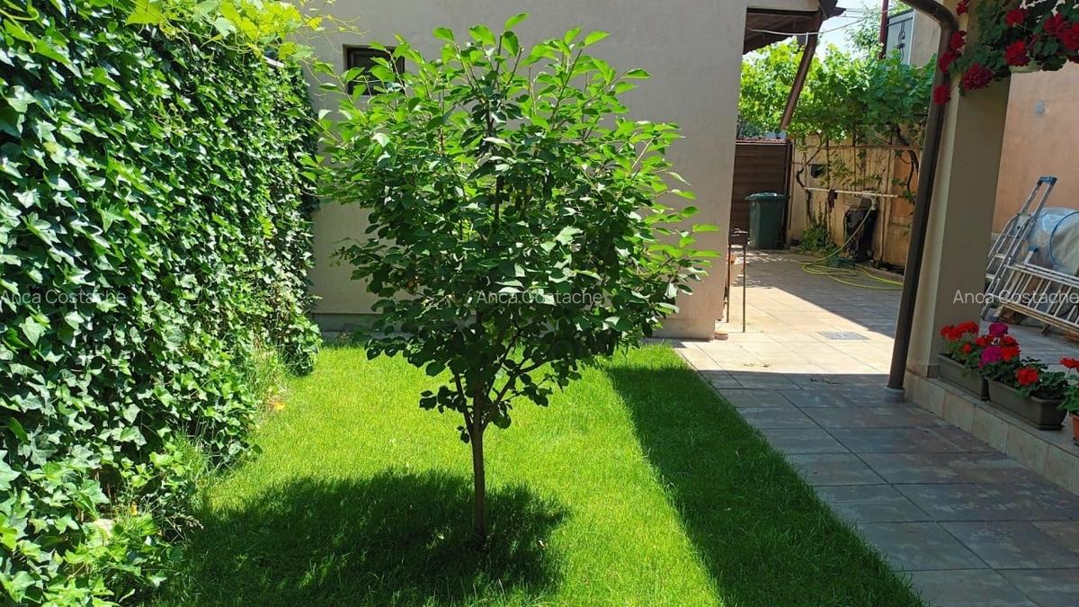 REV2005358 Casa de vanzare Giulesti - 2