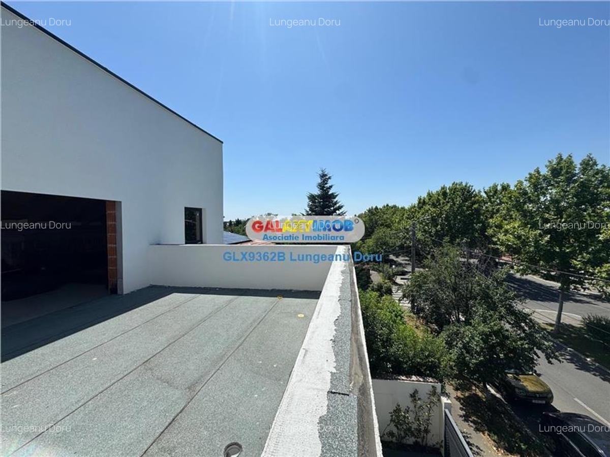 Vila P+1E+M, 310 mp, Laminorului - Chitila, Colosseum, Teren 262 mp - 4