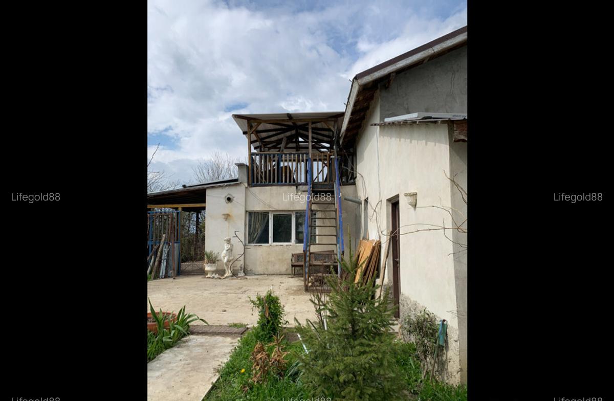 Casa aproape de padure Clinceni, Ilfov - 4